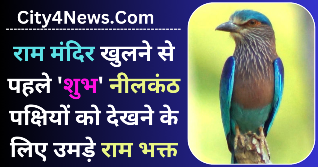 Neelkanth birds