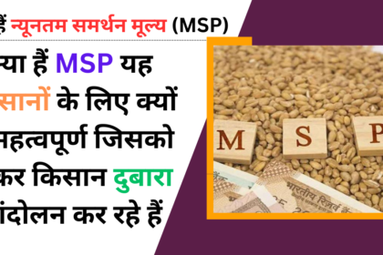 Msp Upsc in Hindi